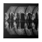 Group of Plains Zebra Drink Together at Night タイル (正面)