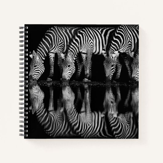 Group of Plains Zebra Drink Together at Night ノートブック (正面)
