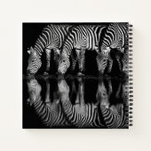 Group of Plains Zebra Drink Together at Night ノートブック (裏面)