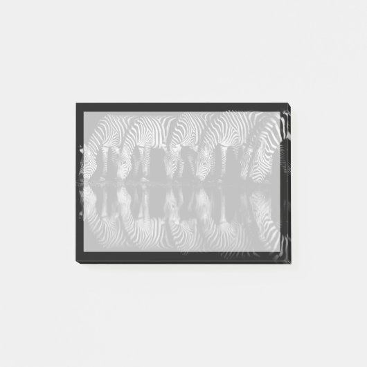 Group of Plains Zebra Drink Together at Night ポストイット (正面)