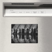 Group of Plains Zebra Drink Together at Night マグネット (インサイチュ (食洗機))