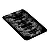 Group of Plains Zebra Drink Together at Night マグネット (右側)