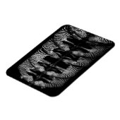 Group of Plains Zebra Drink Together at Night マグネット (左側)