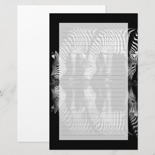 Group of Plains Zebra Drink Together at Night 便箋 (正面/裏面)