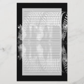 Group of Plains Zebra Drink Together at Night 便箋 (正面)