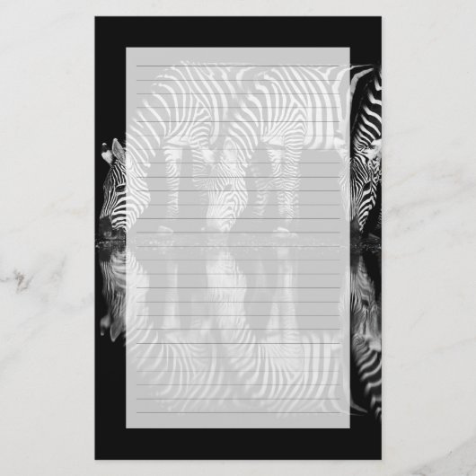 Group of Plains Zebra Drink Together at Night 便箋 (正面)