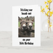 GROUP OR COUPLE DONKEY HAPPY *16th*誕生日 カード (黄色い花)