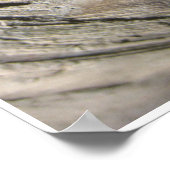 Grove of the Patriarchs ポスター (角)