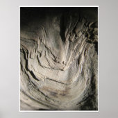 Grove of the Patriarchs ポスター (正面)