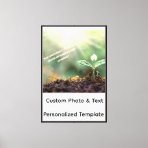 Growing Plant With Rising Sun