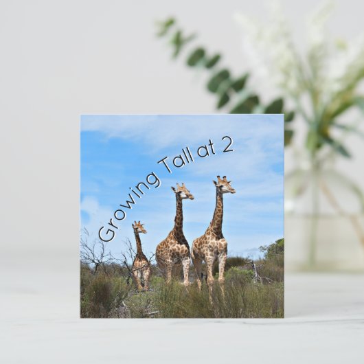 Growing Tall Birthday 招待状 (スタンド正面)