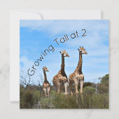 Growing Tall Birthday 招待状 (正面)