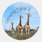 Growing Tall Safari Accent ラウンドシール (正面)