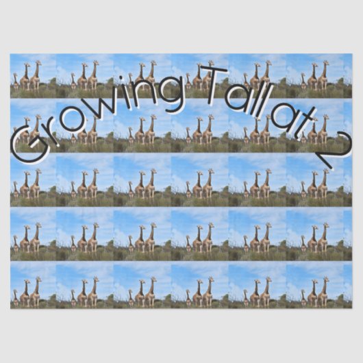 Growing Tall Safari Harmony 薄葉紙 (正面)