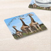 Growing Tall Safari Moment スクエアペーパーコースター (アングル)