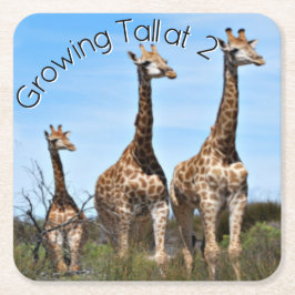 Growing Tall Safari Moment スクエアペーパーコースター