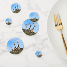 Growing Tall Safari Sprinkles コンフェッティ