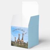 Growing Tall Safari Wonder フェイバーボックス (オープン)