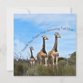 Growing Tall Thank You Message サンキューカード