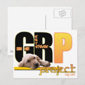 GRP - GOLDEN RETRIEVER PROJECT - WAY クール! ポストカード (正面/裏面)