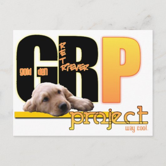 GRP - GOLDEN RETRIEVER PROJECT - WAY クール! ポストカード (正面)