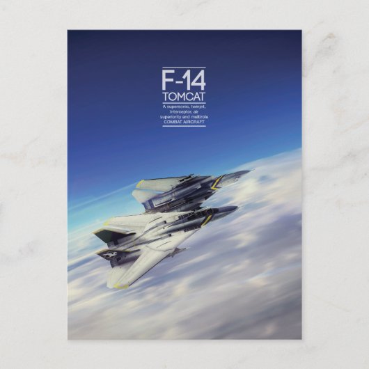 Grumman F-14 Tomcatポストカード ポストカード (正面)