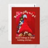 Grumpy baby sulcata tortoise in red hat Holiday ポストカード (正面/裏面)