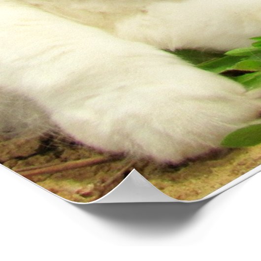 Grumpy Calico Cat Drama Sarcasm ポスター (角)