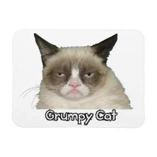Grumpy Cat 3x4フレキシブル磁石 マグネット