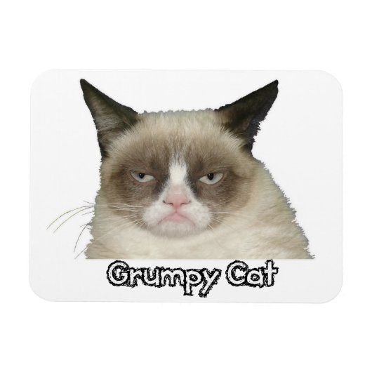 Grumpy Cat 3x4フレキシブル磁石 マグネット (横)