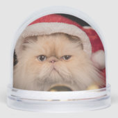 Grumpy Cat Santa Merry Christmas (正面)