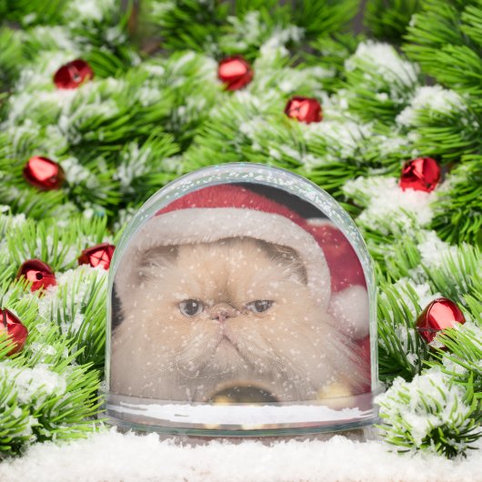 Grumpy Cat Santa Merry Christmas (クリスマス)