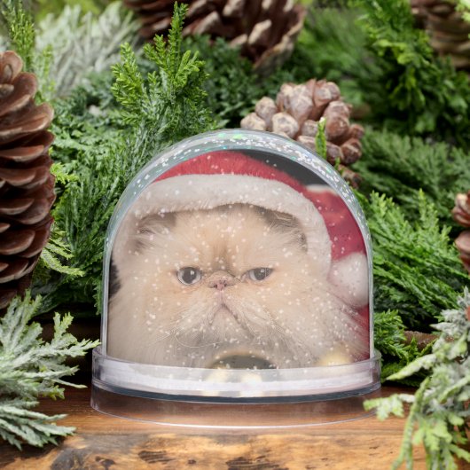 Grumpy Cat Santa Merry Christmas (冬)
