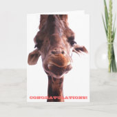 Grumpy Giraffe: Congratulations Card カード (正面)