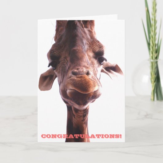 Grumpy Giraffe: Congratulations Card カード (正面)