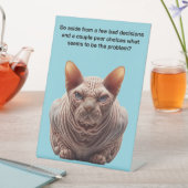 Grumpy Sphynx Cat 台座サイン (インサイチュ)