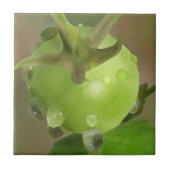 Grüne Tomaten タイル (正面)