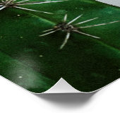 Grüner Kaktus vor weißer Wand ポスター (コーナー)