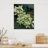 Grüner Strauch mit roten Beeren ポスター (キッチン)