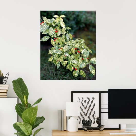 Grüner Strauch mit roten Beeren ポスター (ホームオフィス)