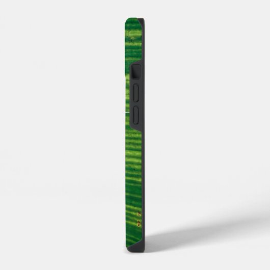 Grünes Blatt mit Details aus Costa Rica iPhoneケース (左側面)