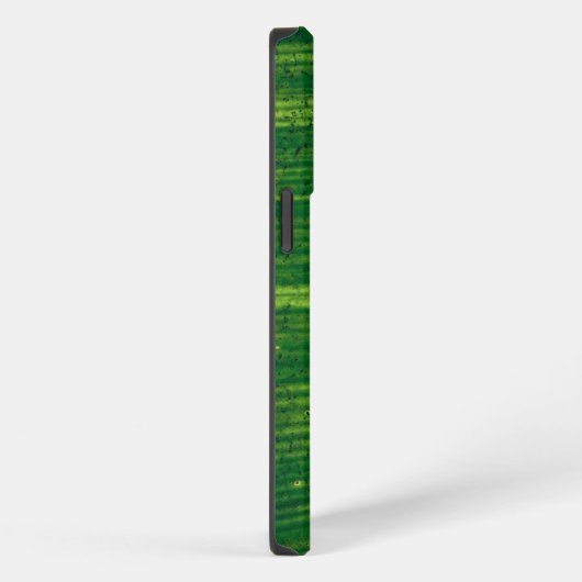 Grünes Blatt mit Details aus Costa Rica iPhoneケース (右側面)