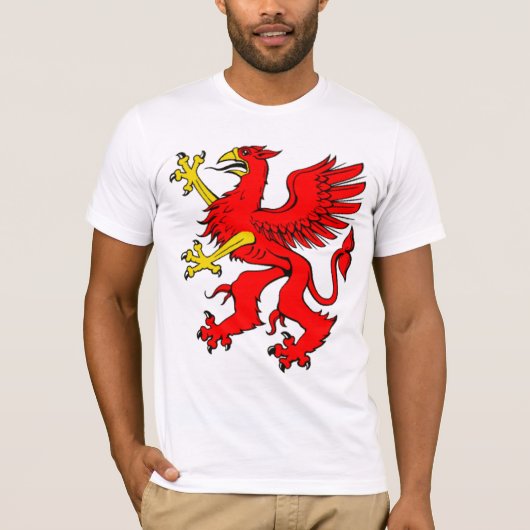 GRYPHONのTシャツ Tシャツ (正面)