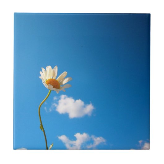 Grytunderlägg Daisy タイル (正面)