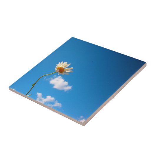 Grytunderlägg Daisy タイル (側面)