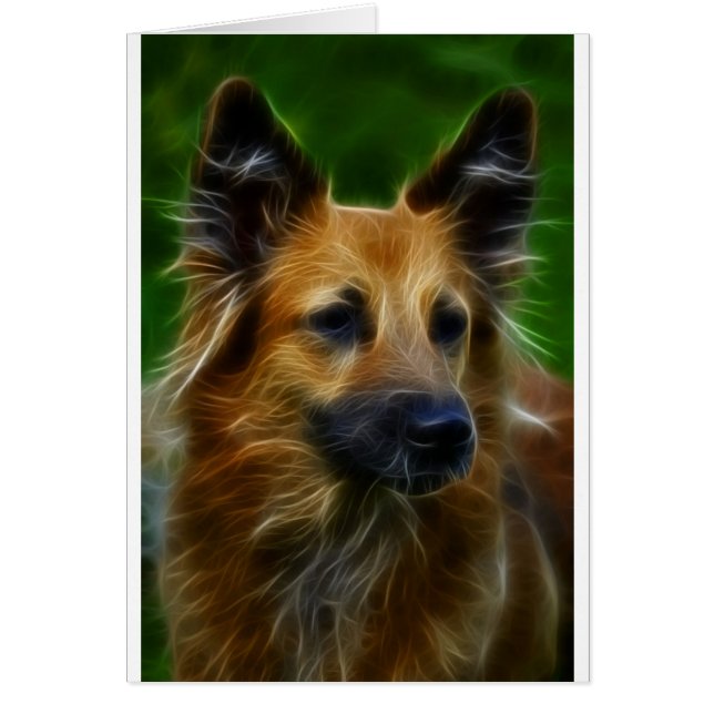 GSDドイツの羊飼いの写真 (正面)