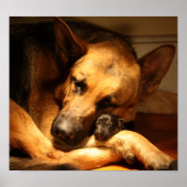 GSD愛 ポスター (正面)