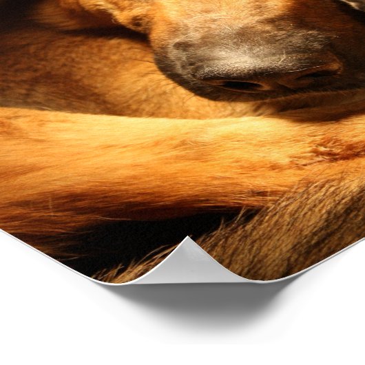 GSD愛 ポスター (角)