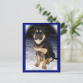 GSD混載ポストカード ポストカード (スタンド正面)