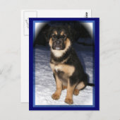 GSD混載ポストカード ポストカード (正面/裏面)